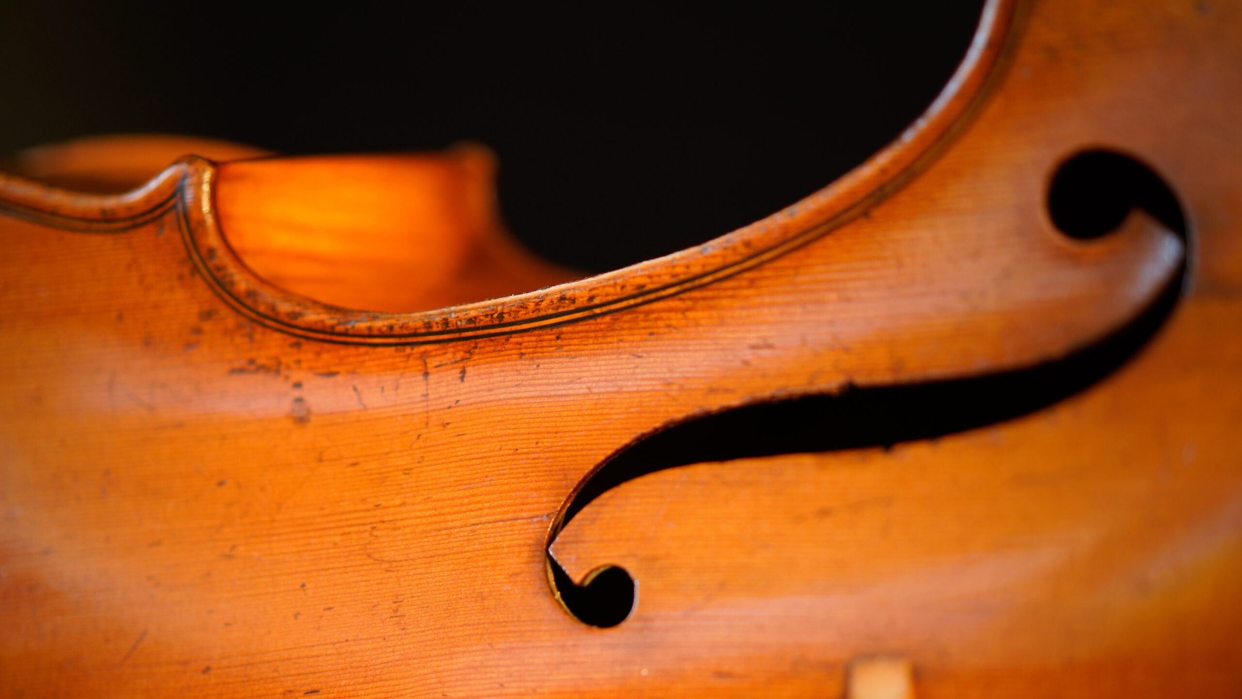Cello Detail